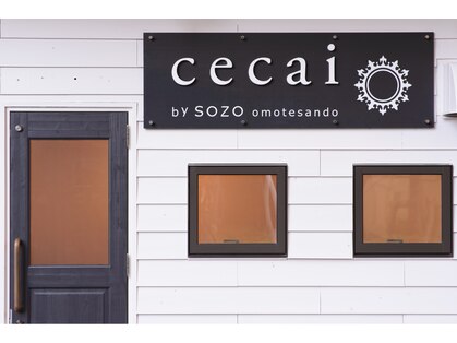 セカイバイソーゾーオモテサンドウ(cecai by sozo omotesando)の写真