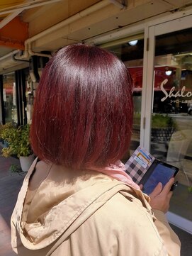 シャローム(SHALOM) ピンクパープル