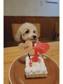 アトリエフィール&nbsp;愛犬ぽぽちゃん