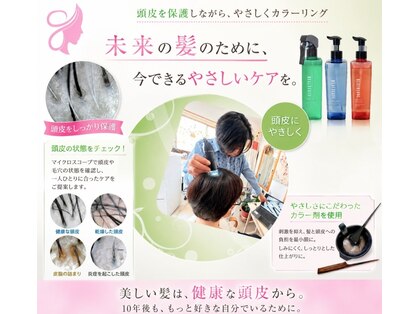 フォルツァの写真