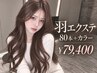 【羽エクステ】ハネエクステ80本＋カラー ￥79400