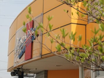 ヘアー・アート・スタジオ・ネバー