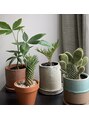 レンク(LENC)&nbsp;お家の植物たち。どんどん増えていきます^q^