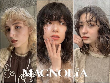 マグノリア(MAGNOLIA)の写真