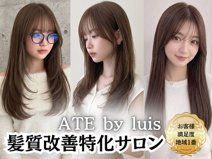 アテバイルイス 喜連瓜破(ATE by luis)の写真