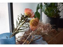 トイ(TOI)の雰囲気（店内にはこだわりの植物も）