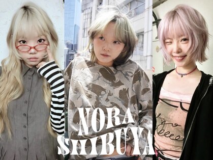 ノラ シブヤ(NORA)の写真