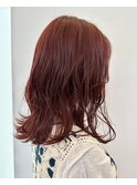 berry red/デザインカラー レッドブラウン