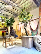 カシータ(casita)