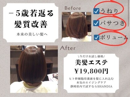 シャンディア(SHANDIA)の写真