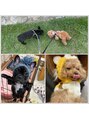 アルマヘア(Alma hair) プライベートは愛犬と過ごします【髪質改善/白髪ぼかし/レイヤー