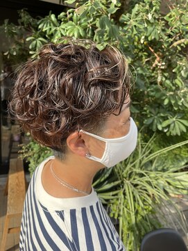 アルゴ 茅ヶ崎(ARUGO) マッシュパーマ/シルキーベージュ/茅ヶ崎/茅ヶ崎駅南口