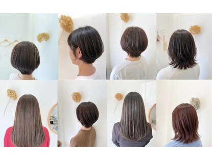 モク(mok)の写真
