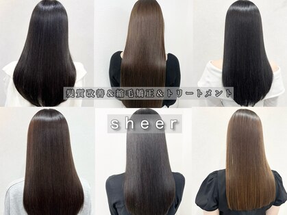 シアー(sheer)の写真