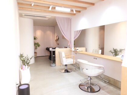 ムギ(mugi)の写真