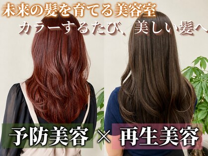 アニュー(Anew)の写真