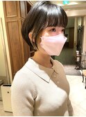 マッシュショート・ハンサムショート・イルミナカラー・銀座京橋