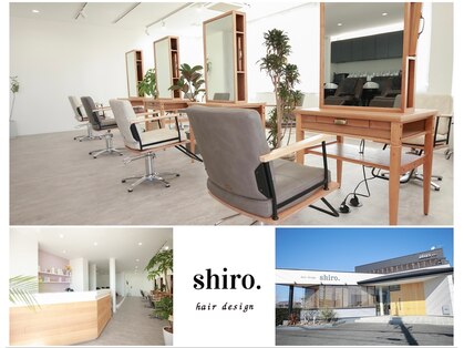 シロ(shiro.)の写真