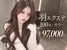 【羽エクステ】ハネエクステ100本＋カラー ￥97000