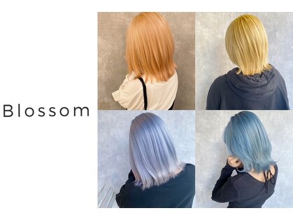 ブロッサム 大塚店(Blossom)の写真