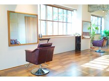 ジュディー(JuDy)