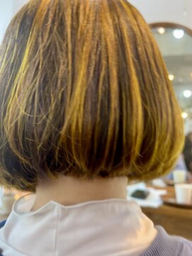 ハシ(hasi) 黄メ黄め