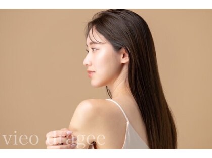 ヴィオドラジェ(vieo dragee)の写真