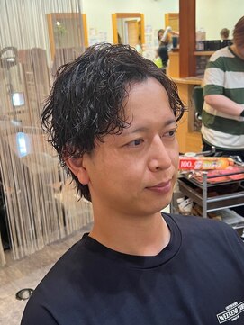 ヘアーフリーティー Hair freety ツイスパメンズウルフ