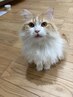 男もカラーを楽しむ時代です。ハッピーになれるカラーカットコース。