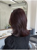 ミディアムレイヤー/カシスカラー/カシスブラウン/艶カラー