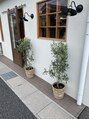 イリ&nbsp;観葉植物好きです！お店にも沢山木がいます！