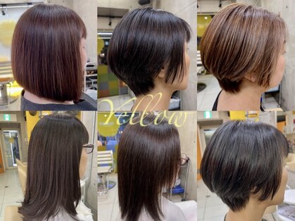 イエロー(YELLOW)の写真