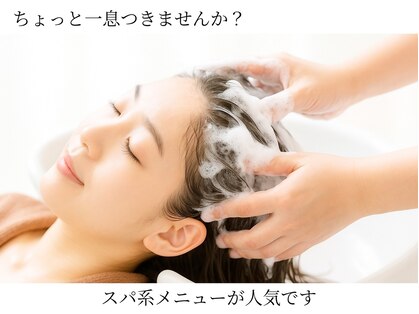 クー(kuu)の写真