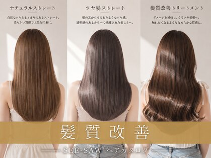 シーソー(SEE-SAW)の写真