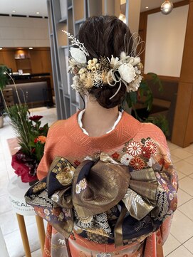 ヴィサージュプラス(VISAGE plus) ふわふわシニヨン