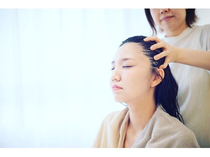 アオゾラ(Aozora)の写真