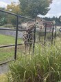 アルディート HAIR STUDIO Ardito プライベートでは動物園に良く行きます
