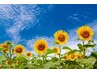 【夏日焼け対策】☆エステシモフェイシャル&頭浸浴☆　