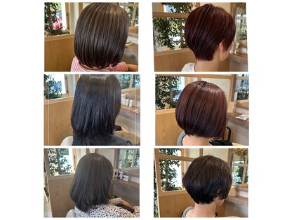 オジギヘアー(ojigi hair)の写真