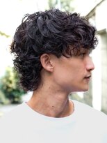 プロショップウェーブ セカンド(PRO SHOP WAVE II)&nbsp;スペインカール/グランジ/メンズパーマ/アクティブショート/針金