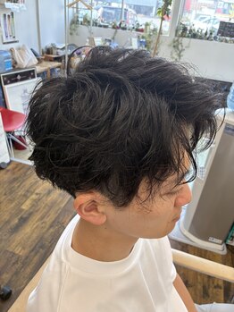 アルチェヘアー(alche hair)の写真/席数を絞った贅沢なプライベート空間。最初から最後まで一人の担当者が向き合う、特別なひととき。