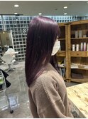 ピンクラベンダー