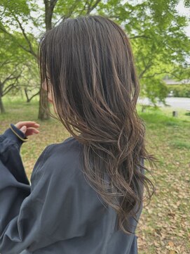 ランタン(LANTERN) 【guest　snap】