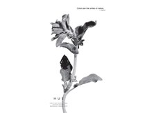 ノア(noa)の雰囲気(8th.anniversary)