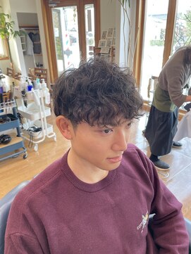 タイム(Thyme) ソフトスパイラル