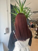 アウラ(AURA)&nbsp;カシスレッド、レッドカラー、暖色カラー