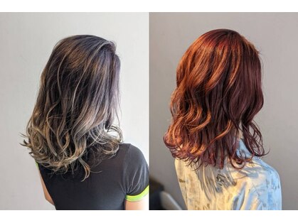 パピヨンロゼ(Papillon Rose)の写真