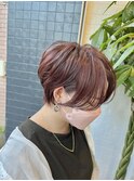 ボルドー×ショート