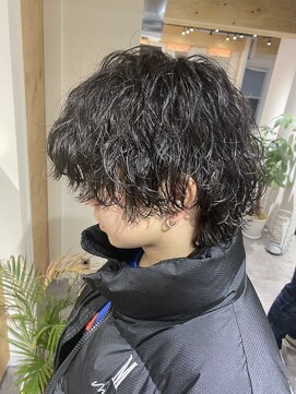 クオル 立川(QOL) マッシュウルフ/波巻きパーマ/ツイスパ/眉カット/お洒落ヘア