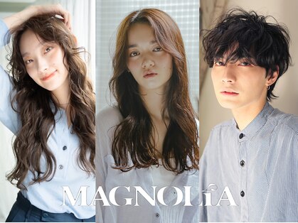 マグノリア(MAGNOLIA)の写真